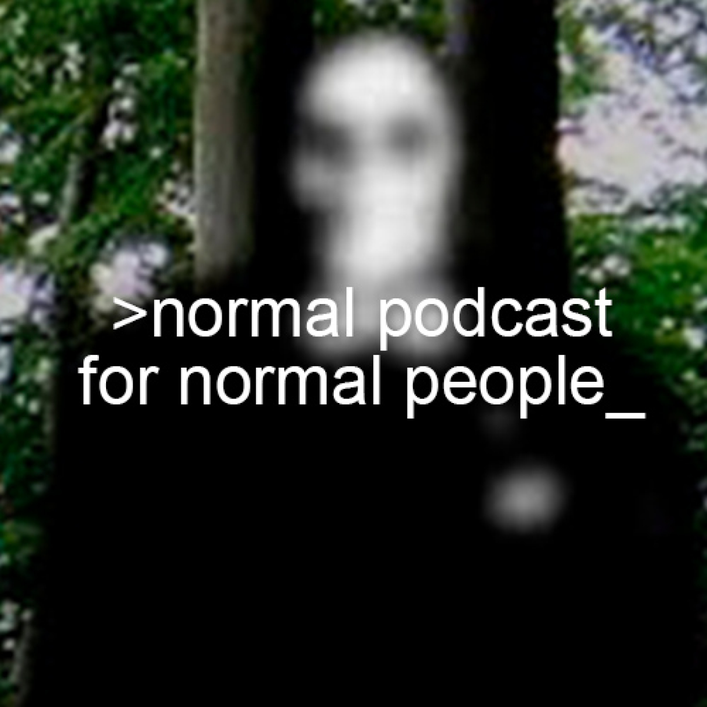 Normal Podcast for Normal People