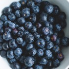 Antioxidantes en nutrición deportiva