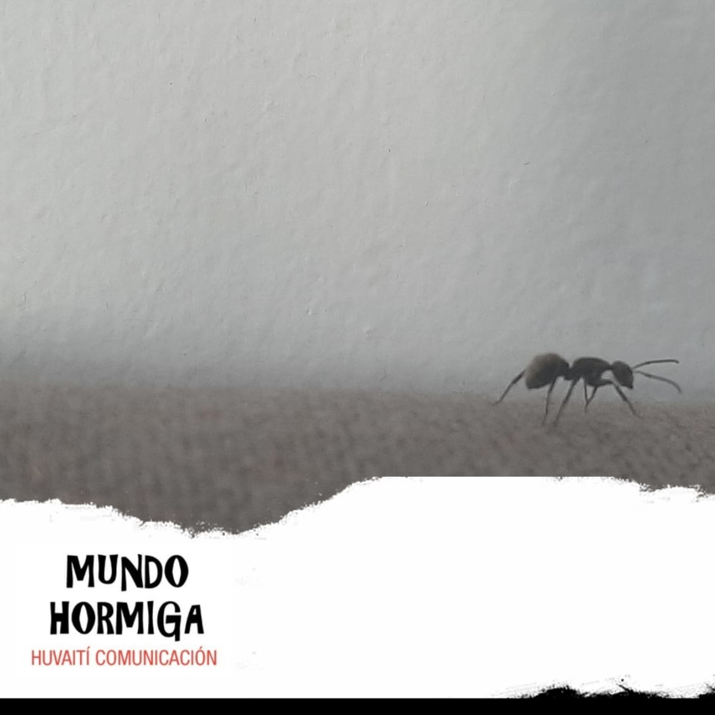 Mundo Hormiga