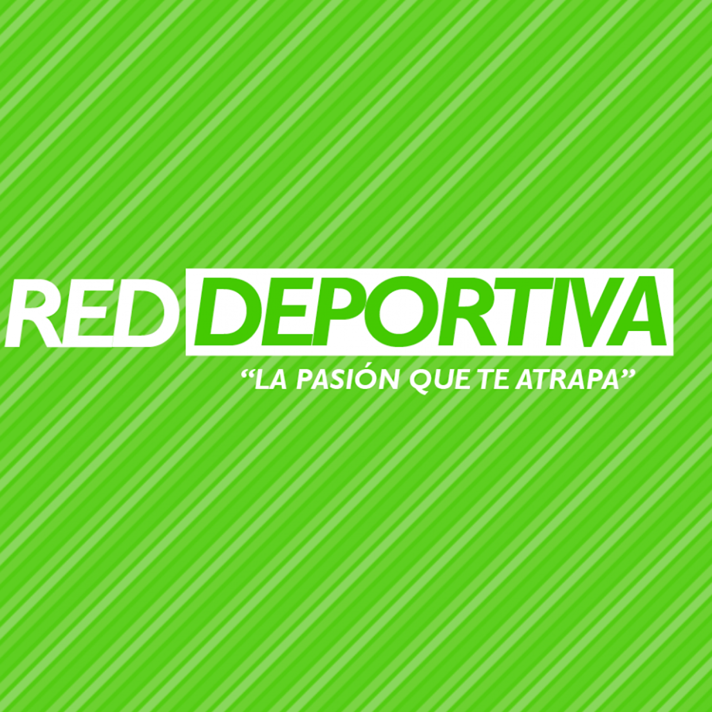 Partidos PrimeraB