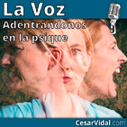 Adentrándonos en la psique: El trastorno límite de la personalidad - 19/02/20