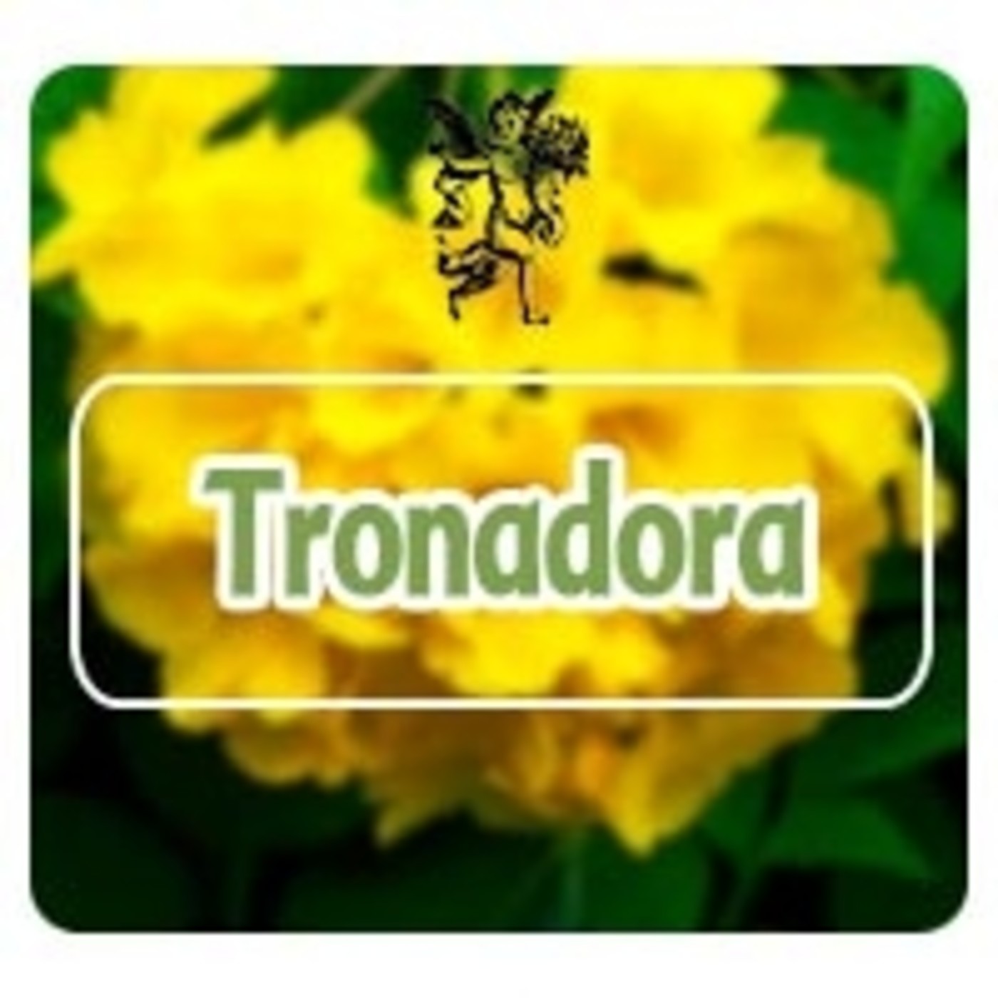 El Angel de tu Salud - TRONADORA** episode artwork