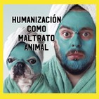 La humanización como forma de maltrato animal.