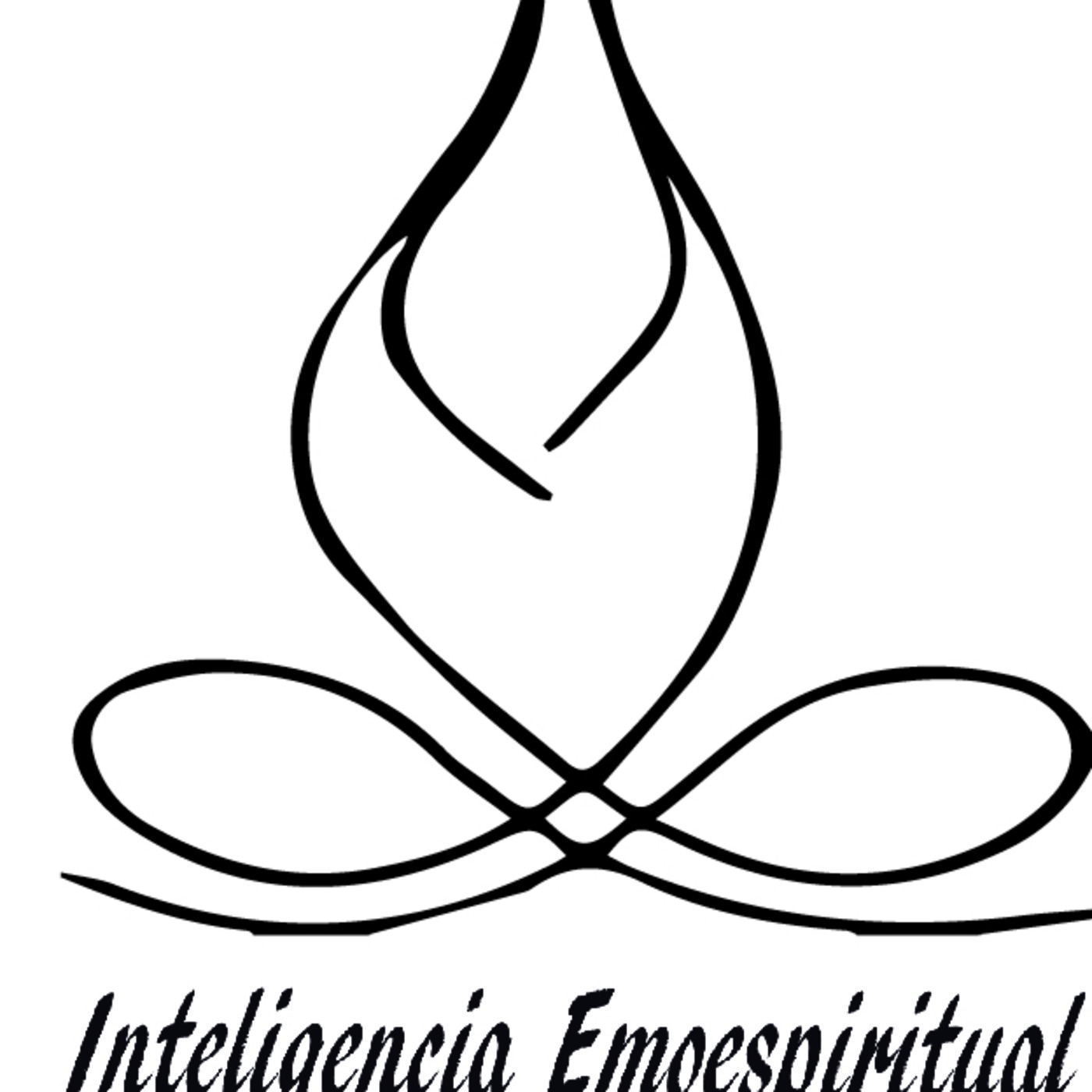 CLASES DE INTELIGENCIA EMOESPIRITUAL