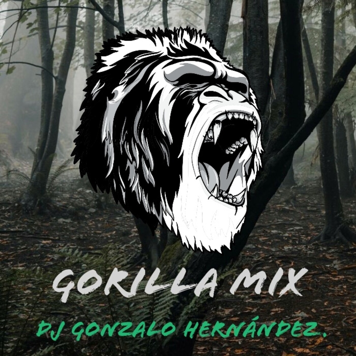 EDM PODCAST