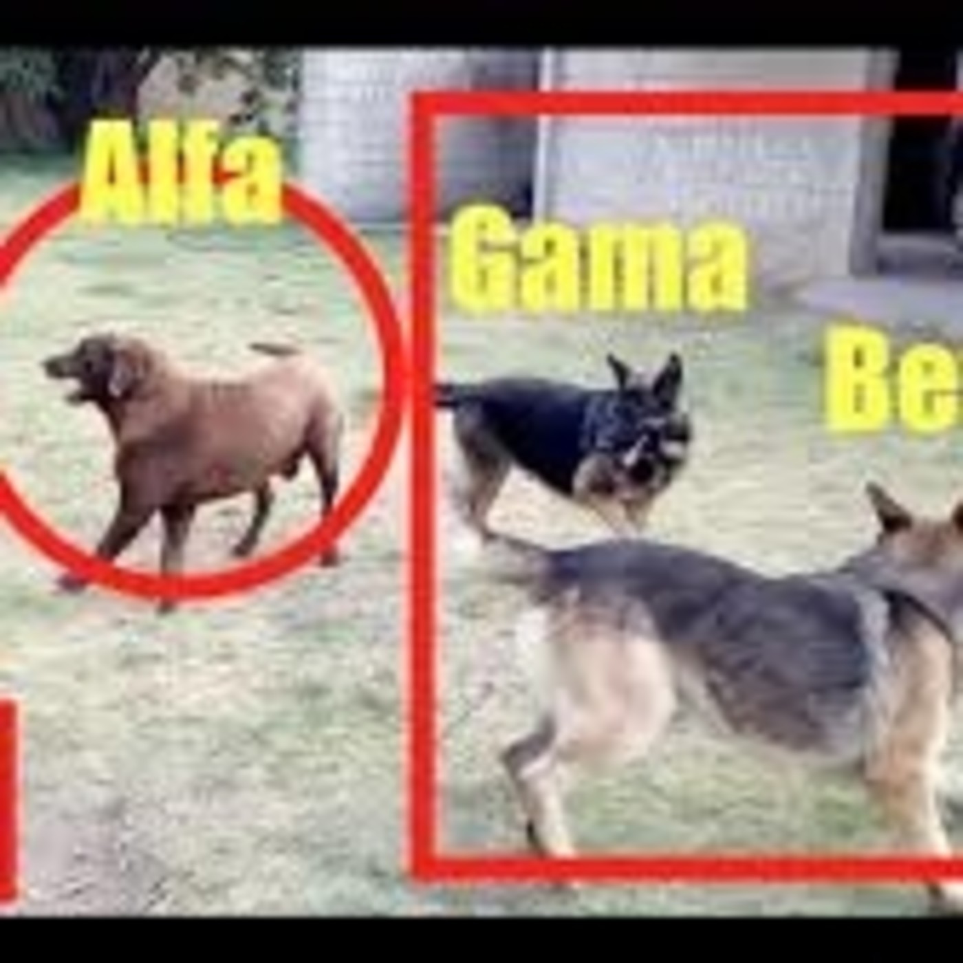 Biblioteca Hombres Libres