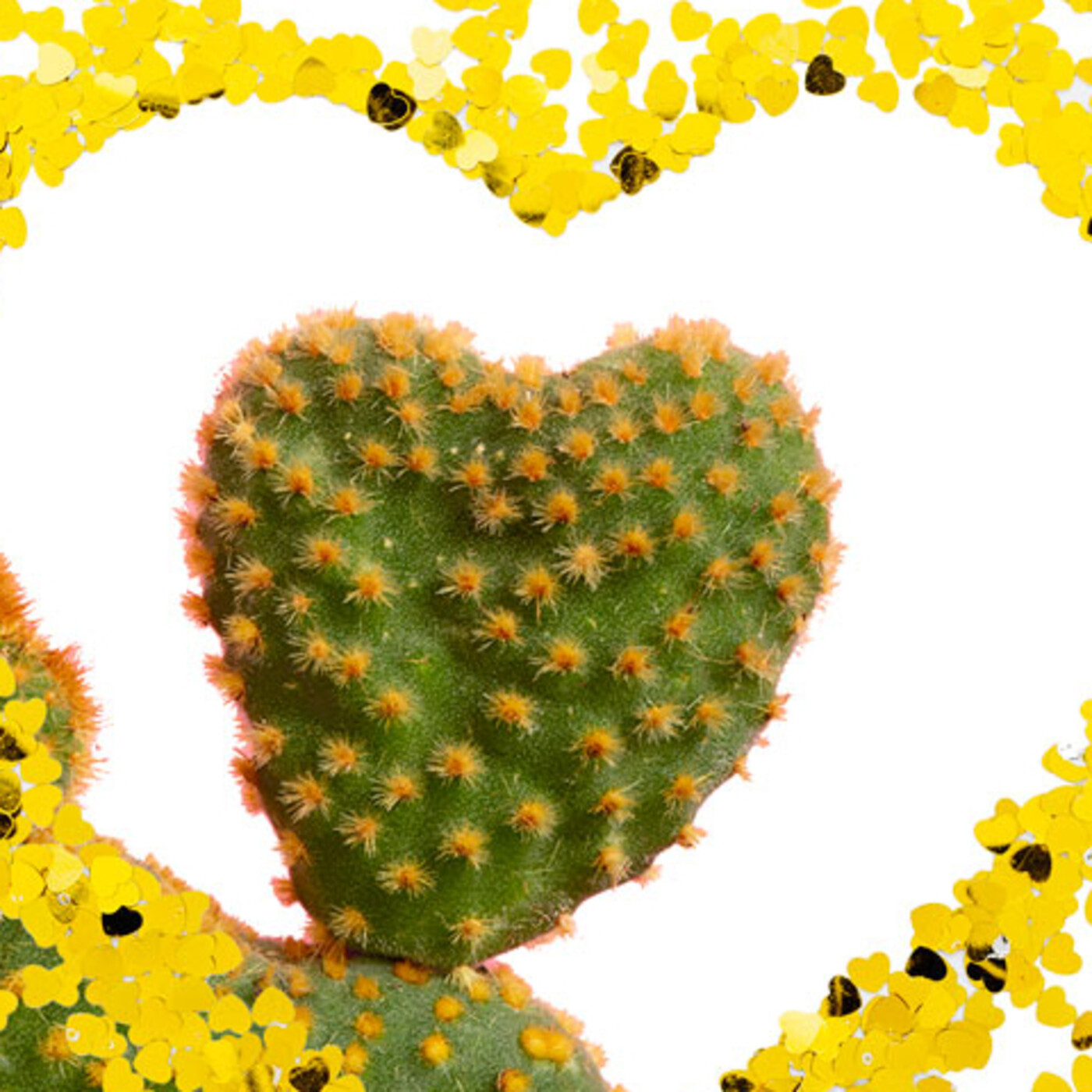 El Cactus