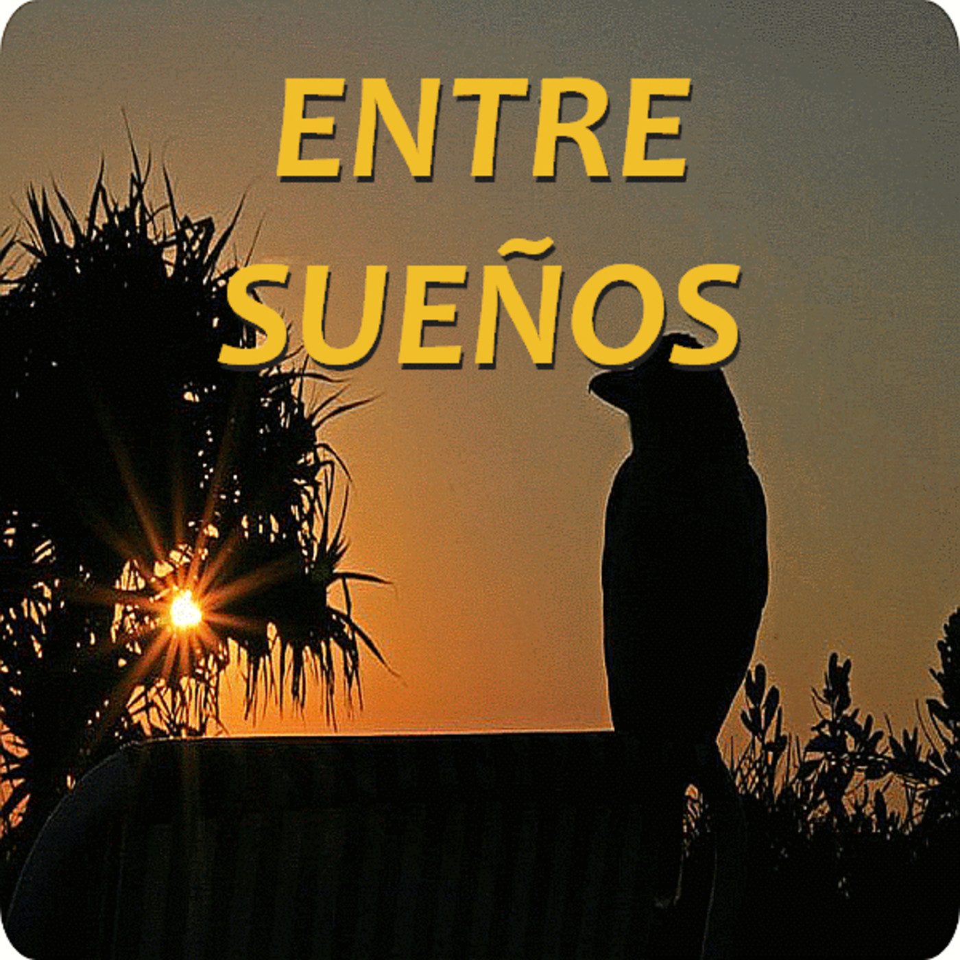 Audio Poemas de Fermina López