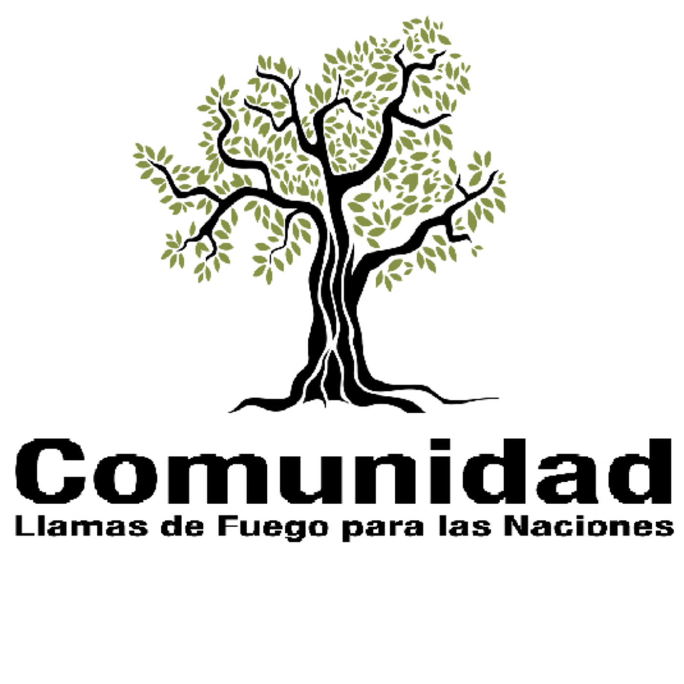 Enseñanzas