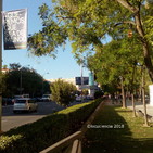 La contaminación del aire (119)