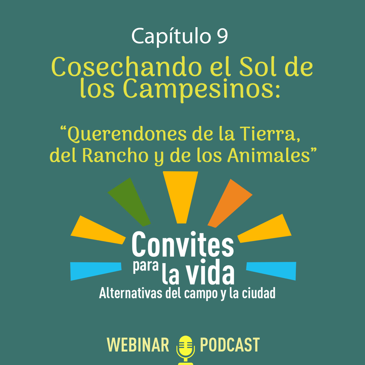 Convites Para La Vida
