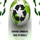 Nota Hernan Giardini- Coordinador de la Campaña de Bosques de Greenpeace Argentina- 05-12-19