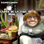 panda show -la madre encubre a su hijo ratero