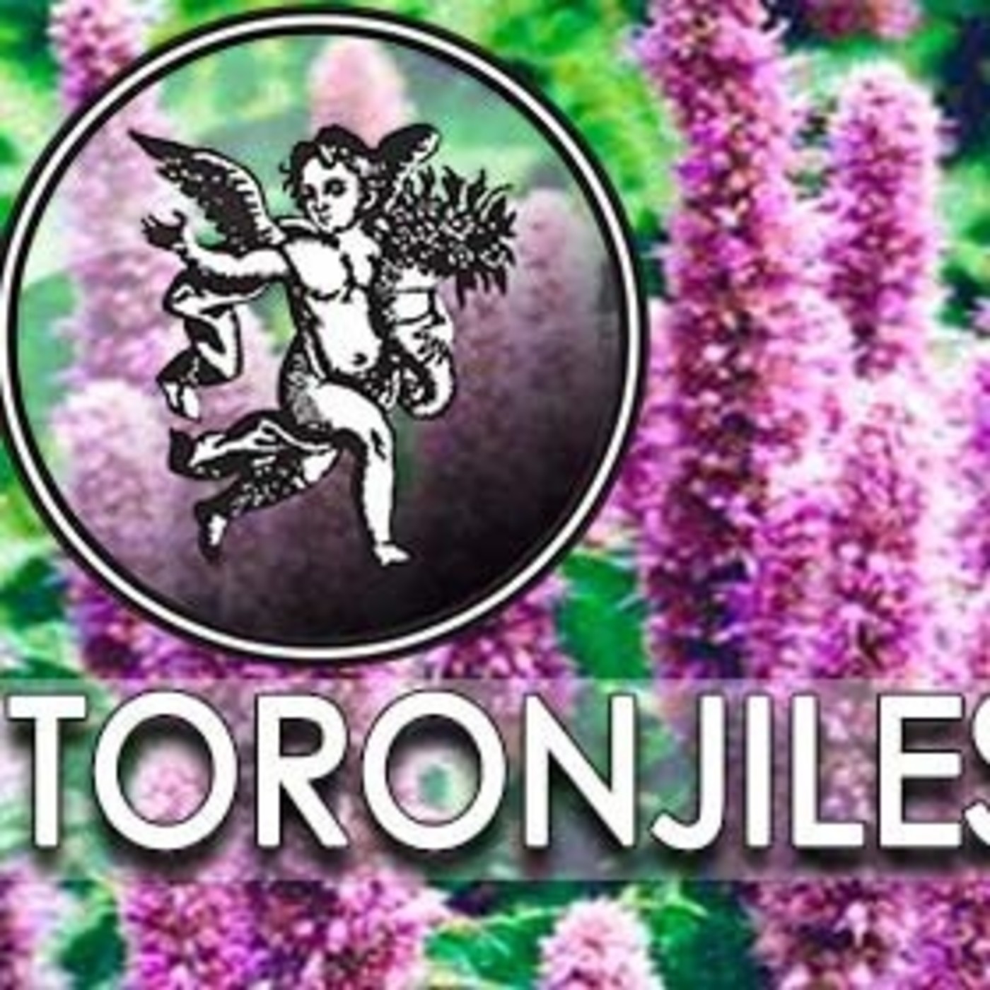 El Ángel de tu Salud - TORONJILES episode artwork