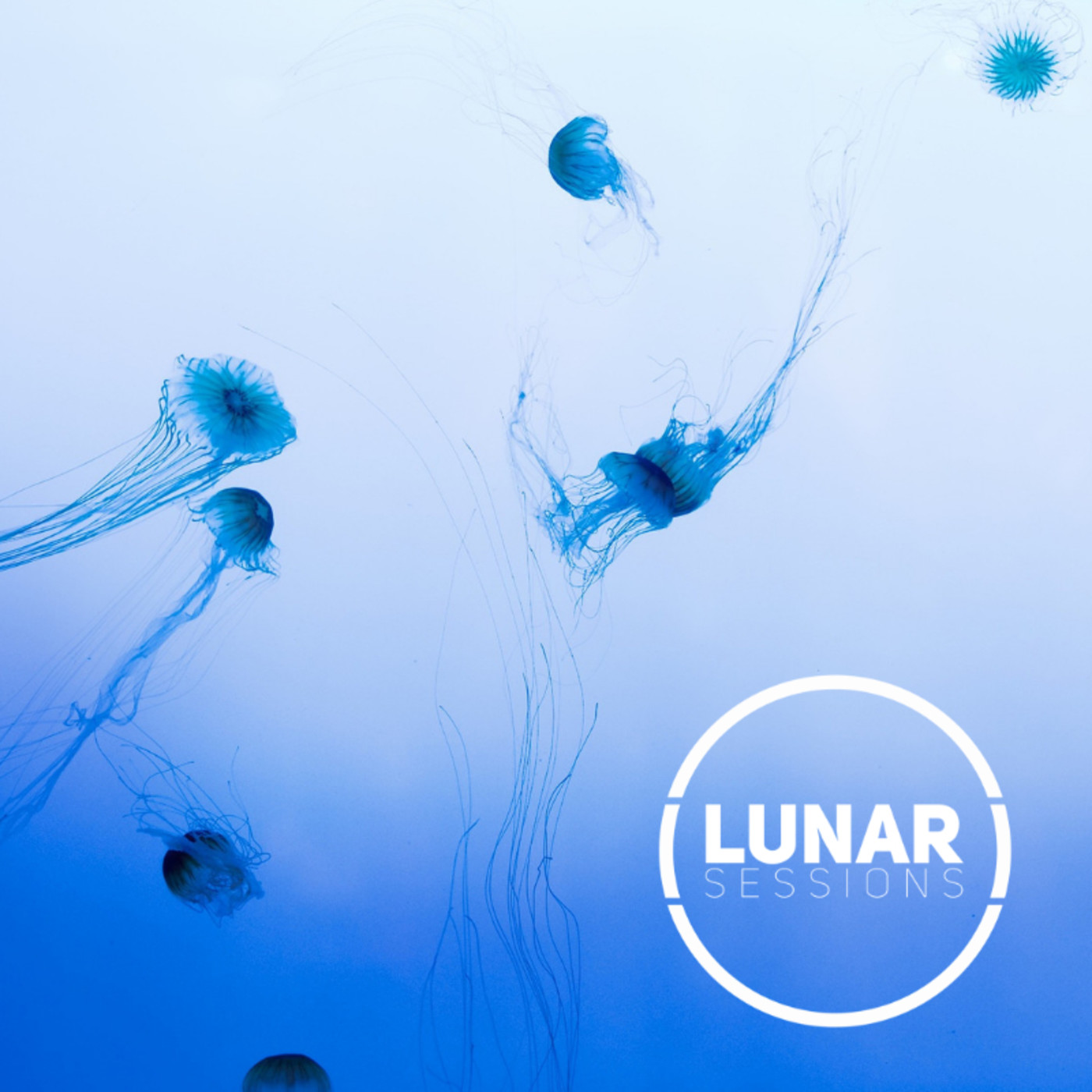 Lunar Sessions