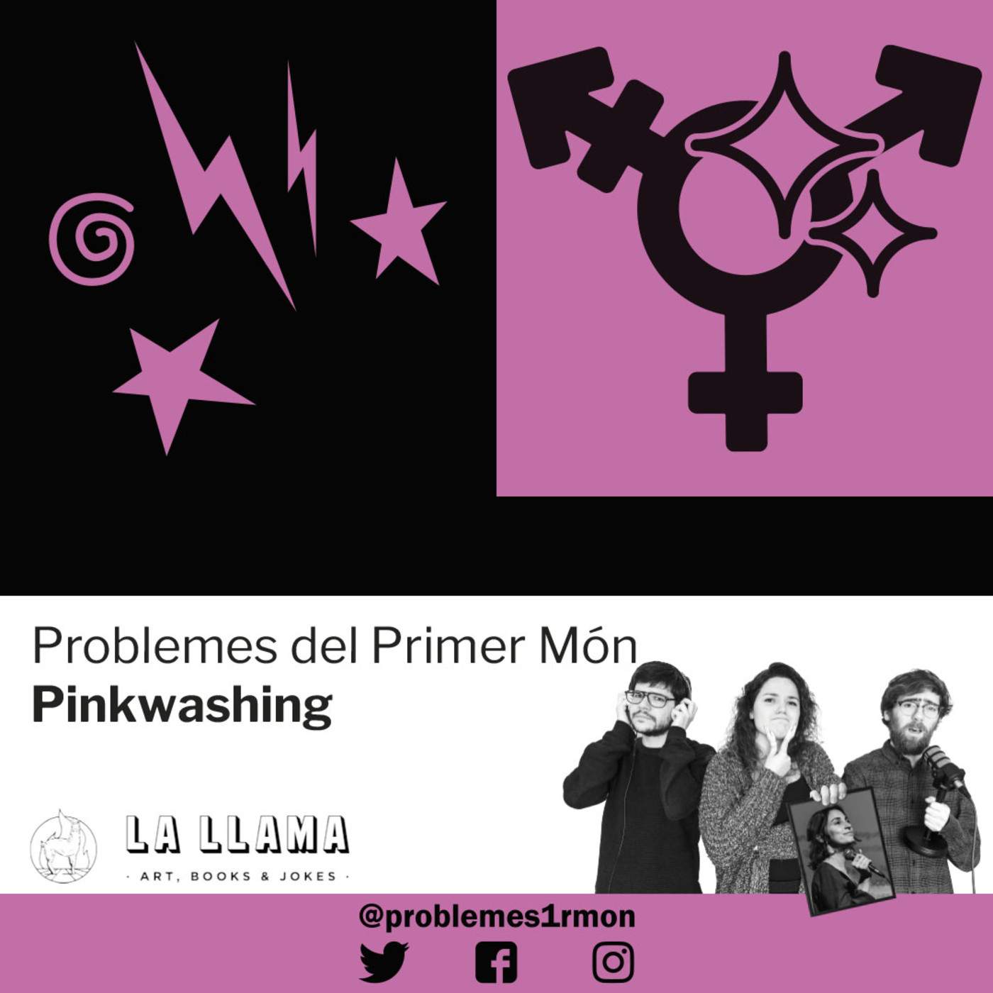 Problemes del Primer Món