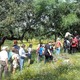 Paseos por Galapagar