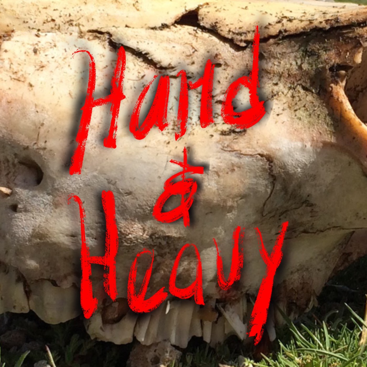 Hard and Heavy Metal Show