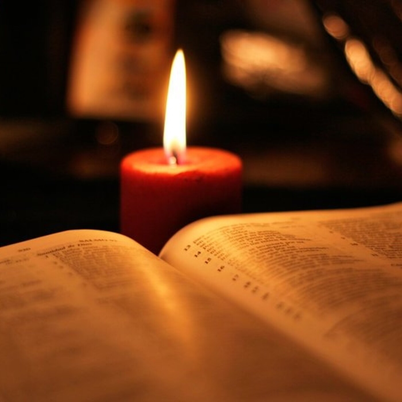 Catequesis: Evangelio del día - 2019