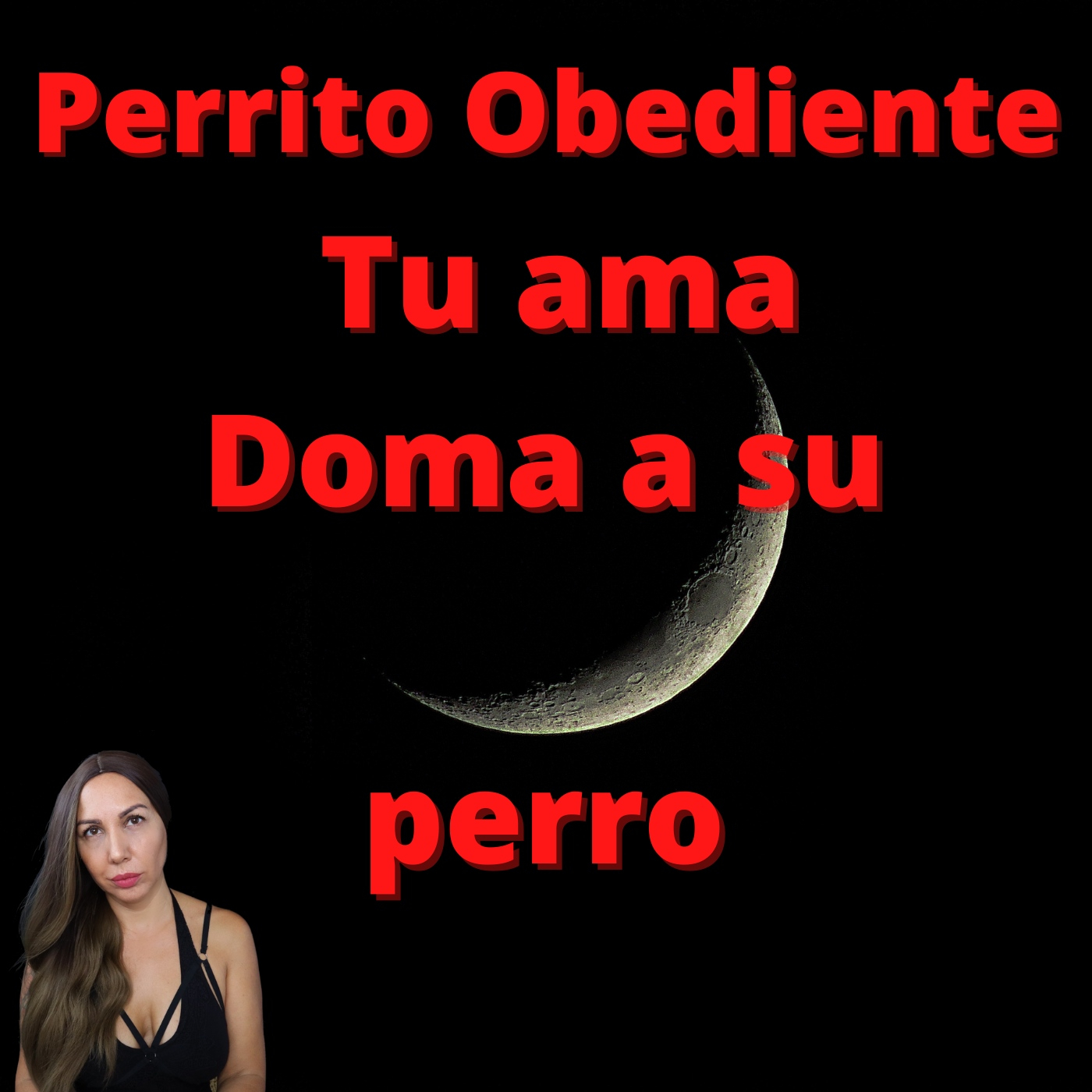 Perrito Obediente