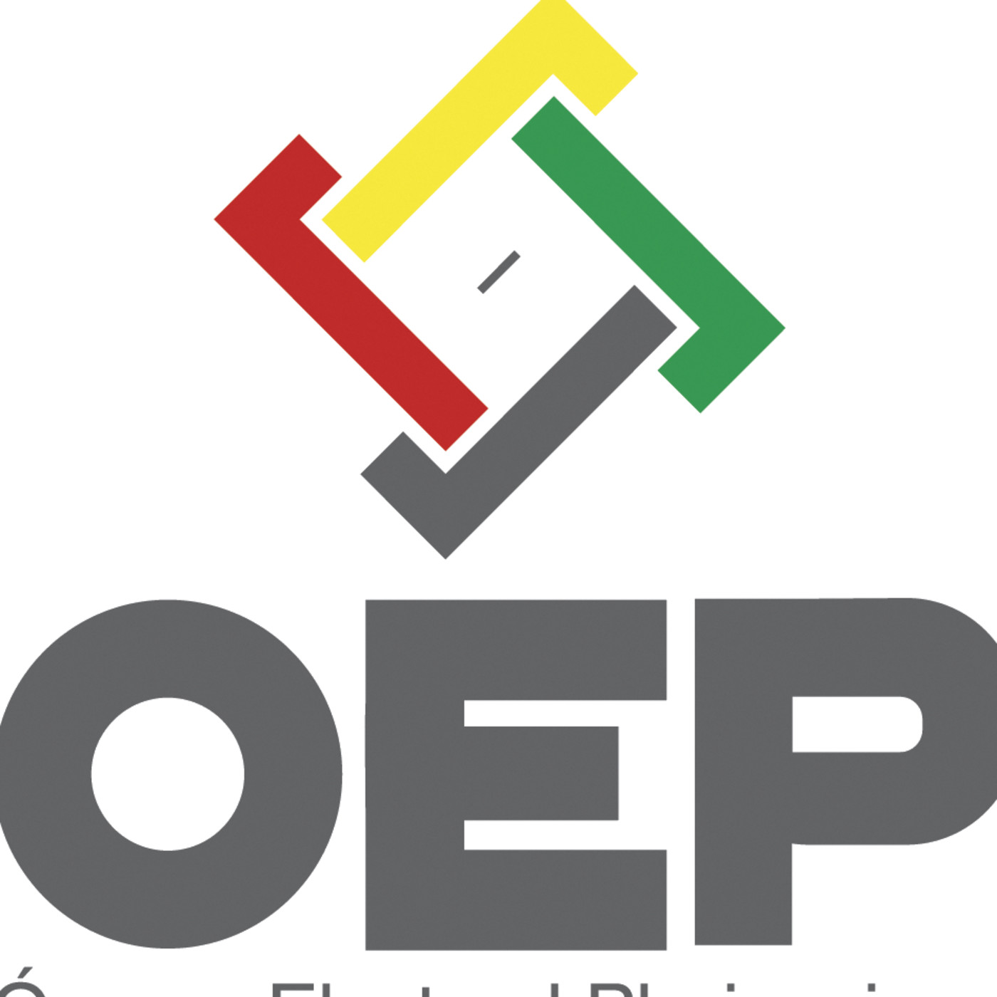 ELECCIONES JUDICIALES 2011