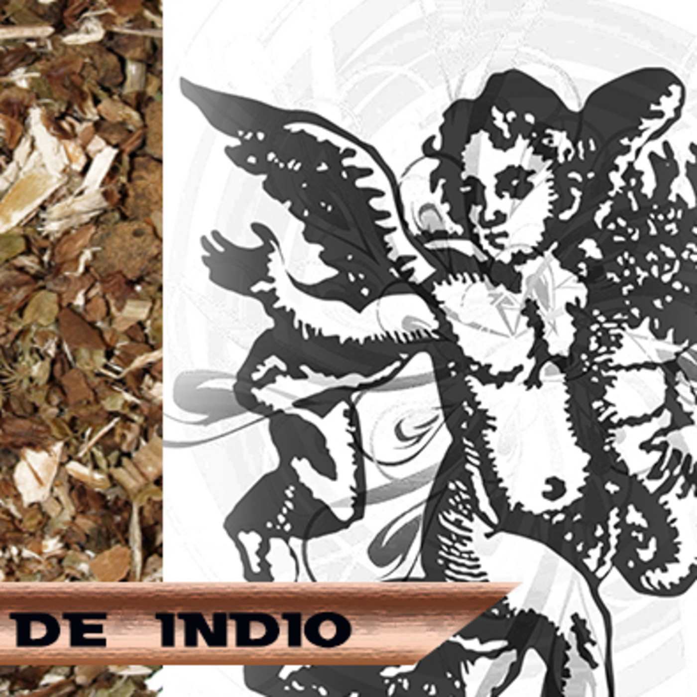 El Ángel de tu Salud - RAÍZ DE INDIO episode artwork
