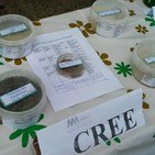 Agricultores de Melena del Sur aplican variantes ecológicas para lograr mejores rendimientos