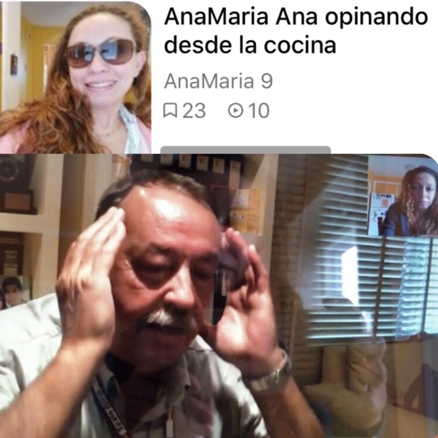 AnaMaria Ana opinando desde la cocina