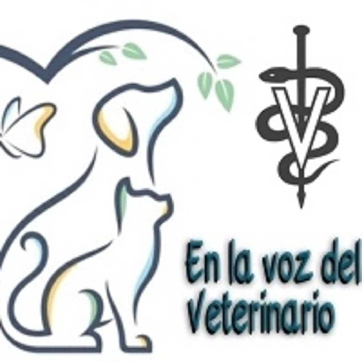 En la voz del veterinario. 090221 p124