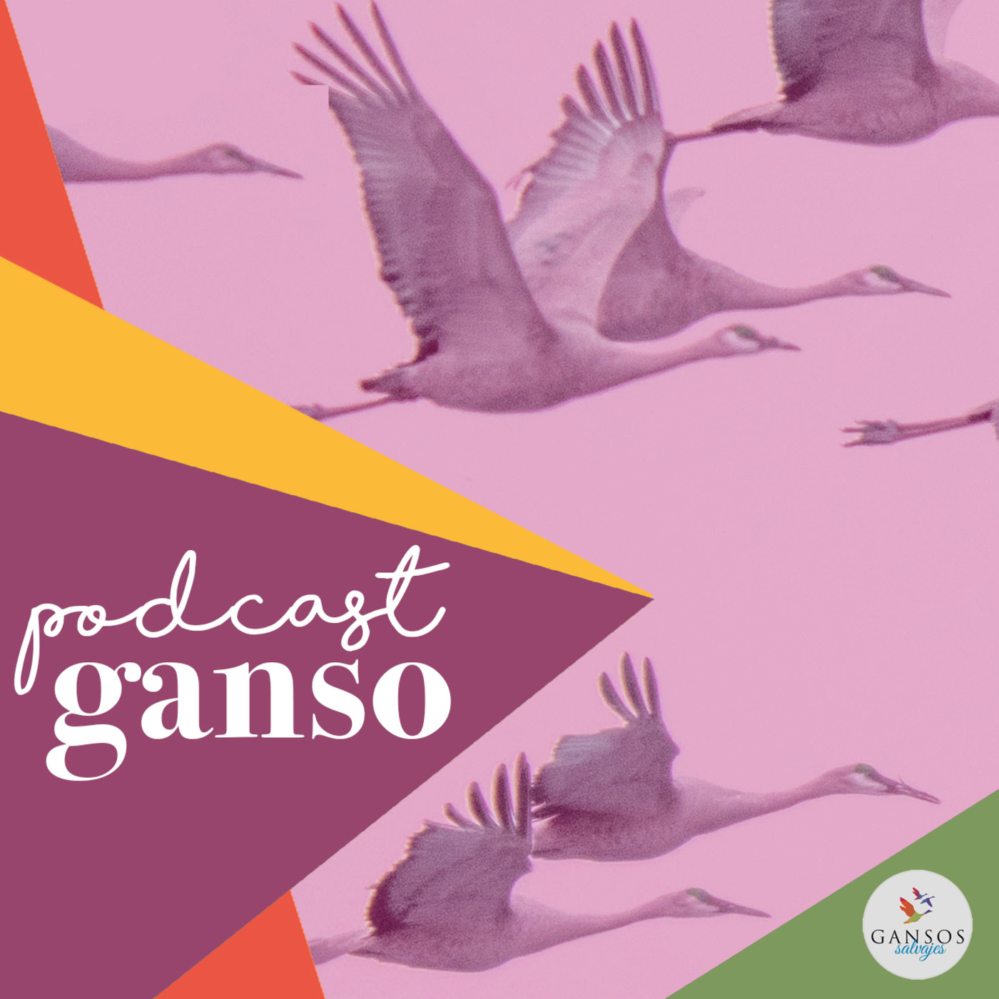 PODCAST GANSO