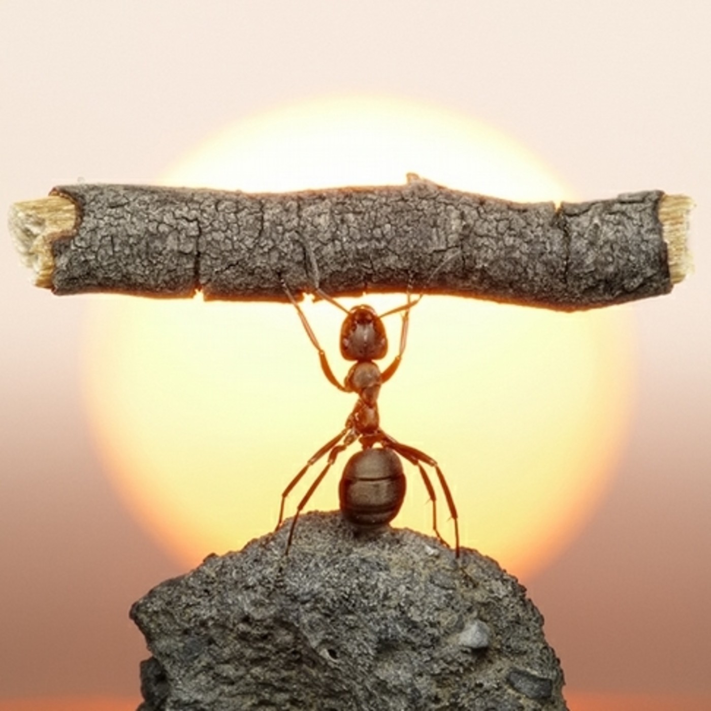 Vive y Respira Coaching Estratégico