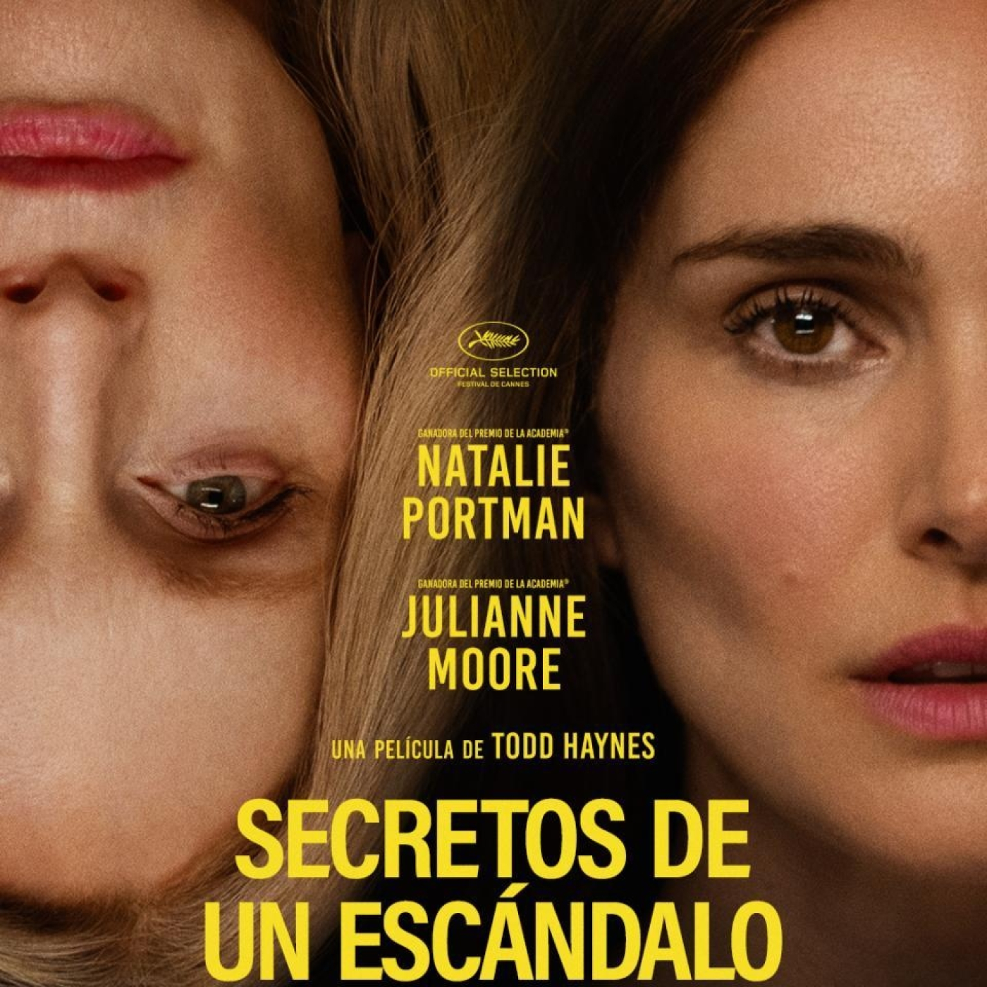 Estamos de cine