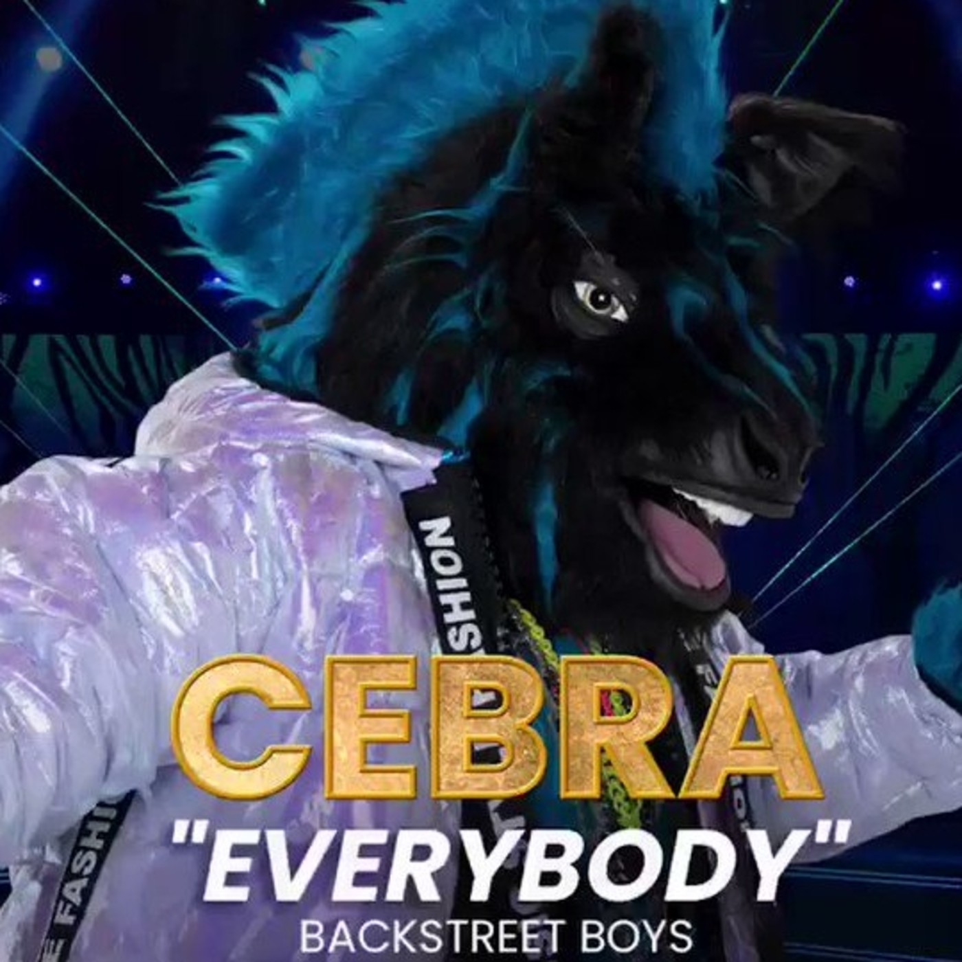 Team Cebra