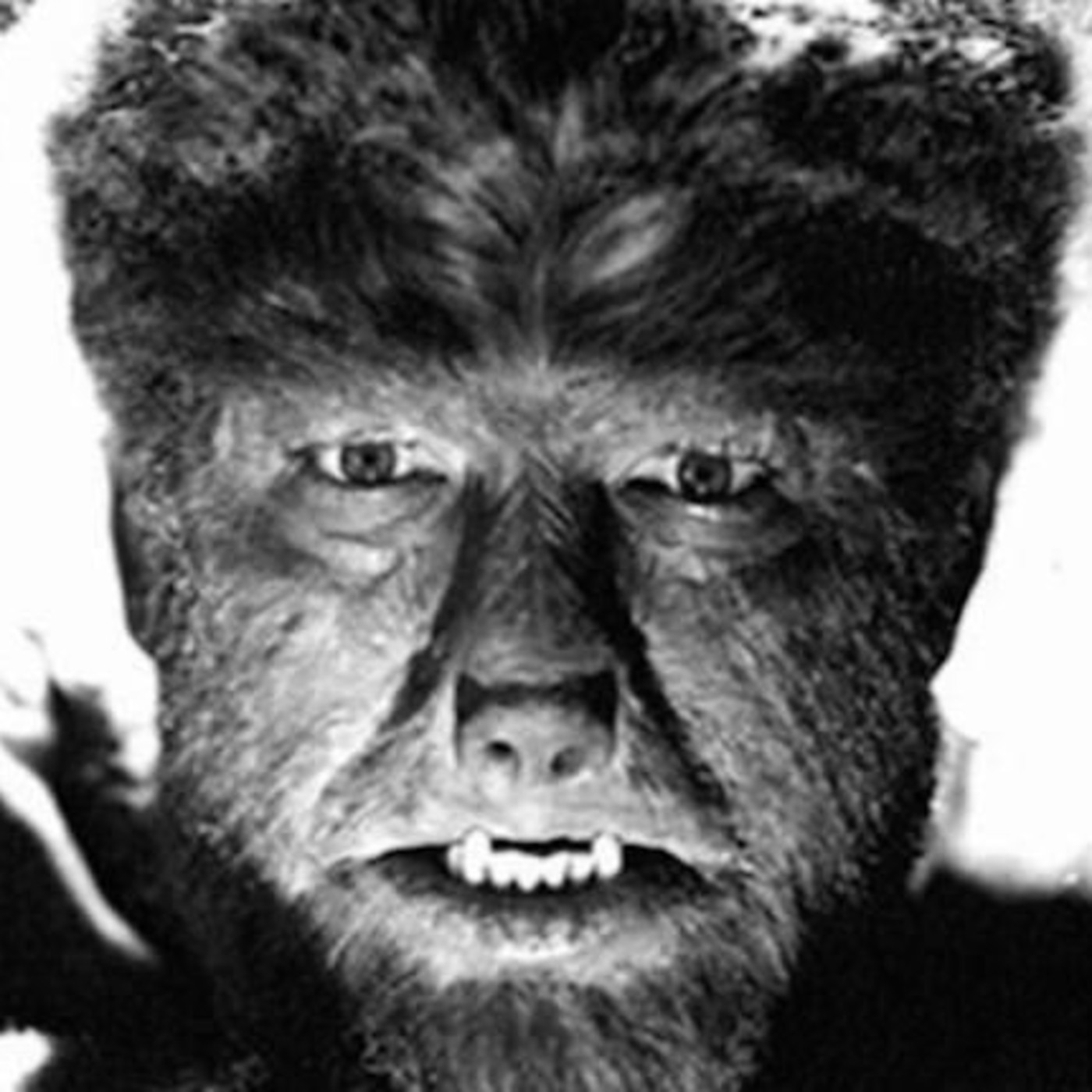 Cultura Pop (2013-2015)