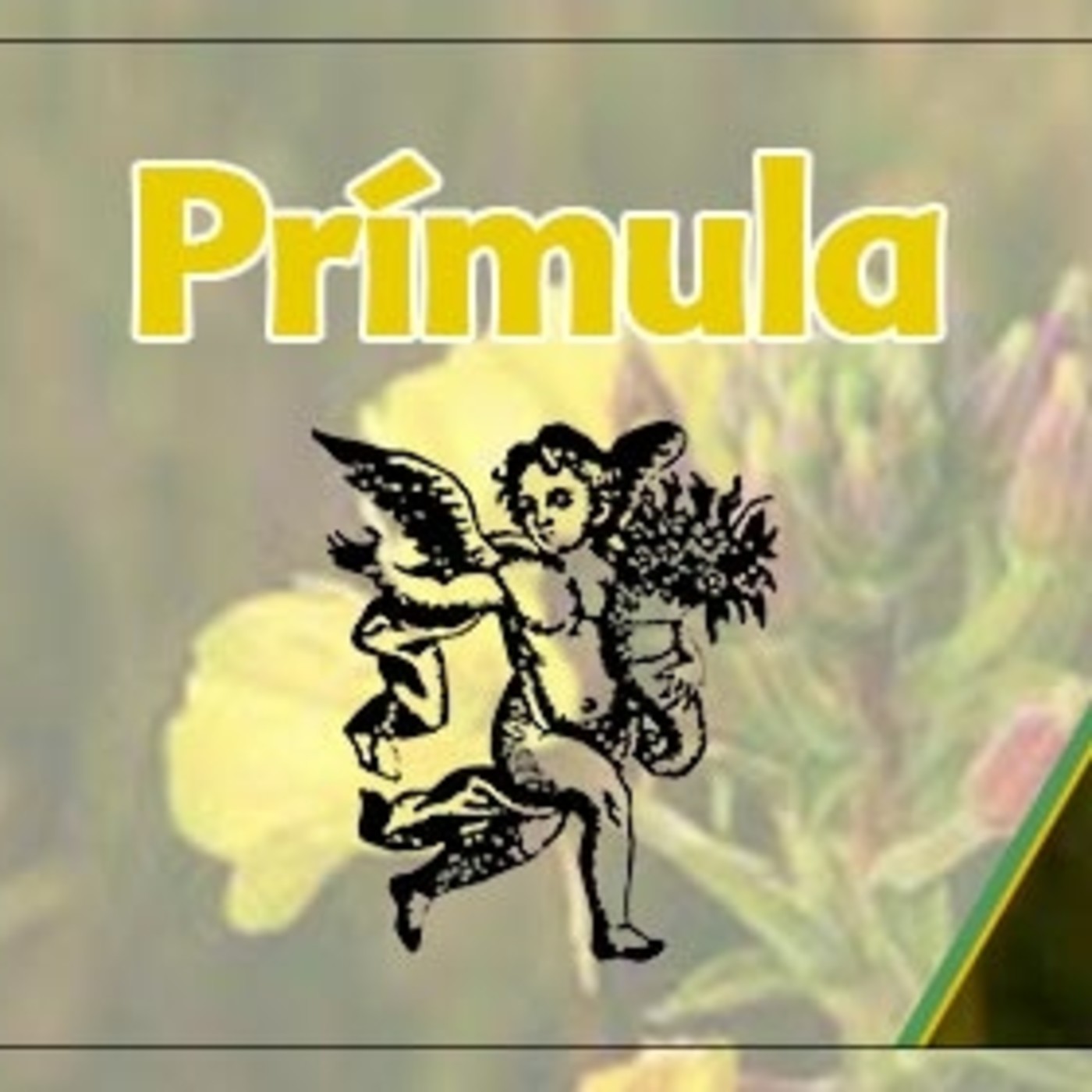 El Ángel de tu Salud - PRÍMULA*