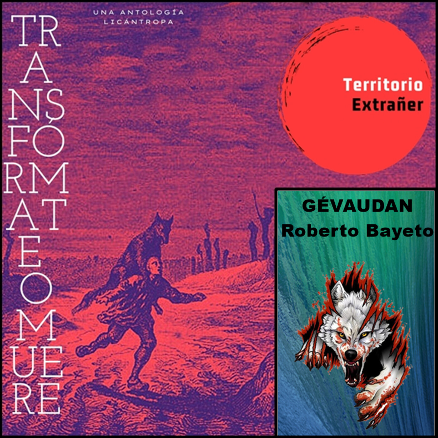 Territorio Extrañer