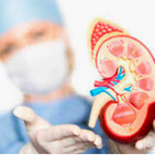 Infecciones Urogenitales GRAVES