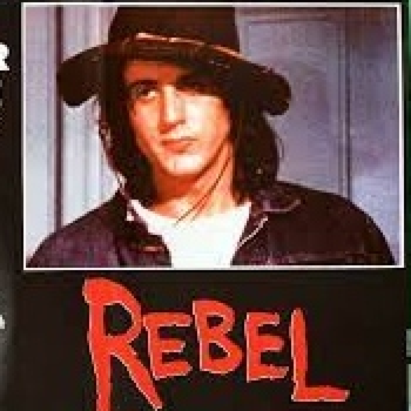 Stallone de mi vida