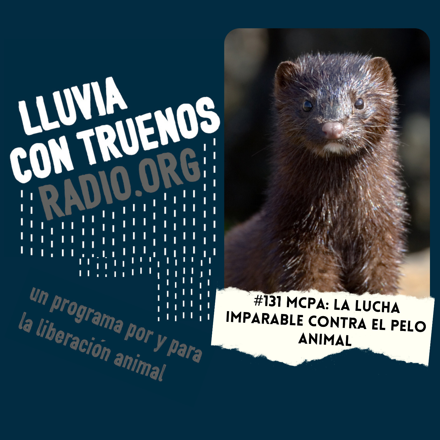 Lluvia con truenos radio