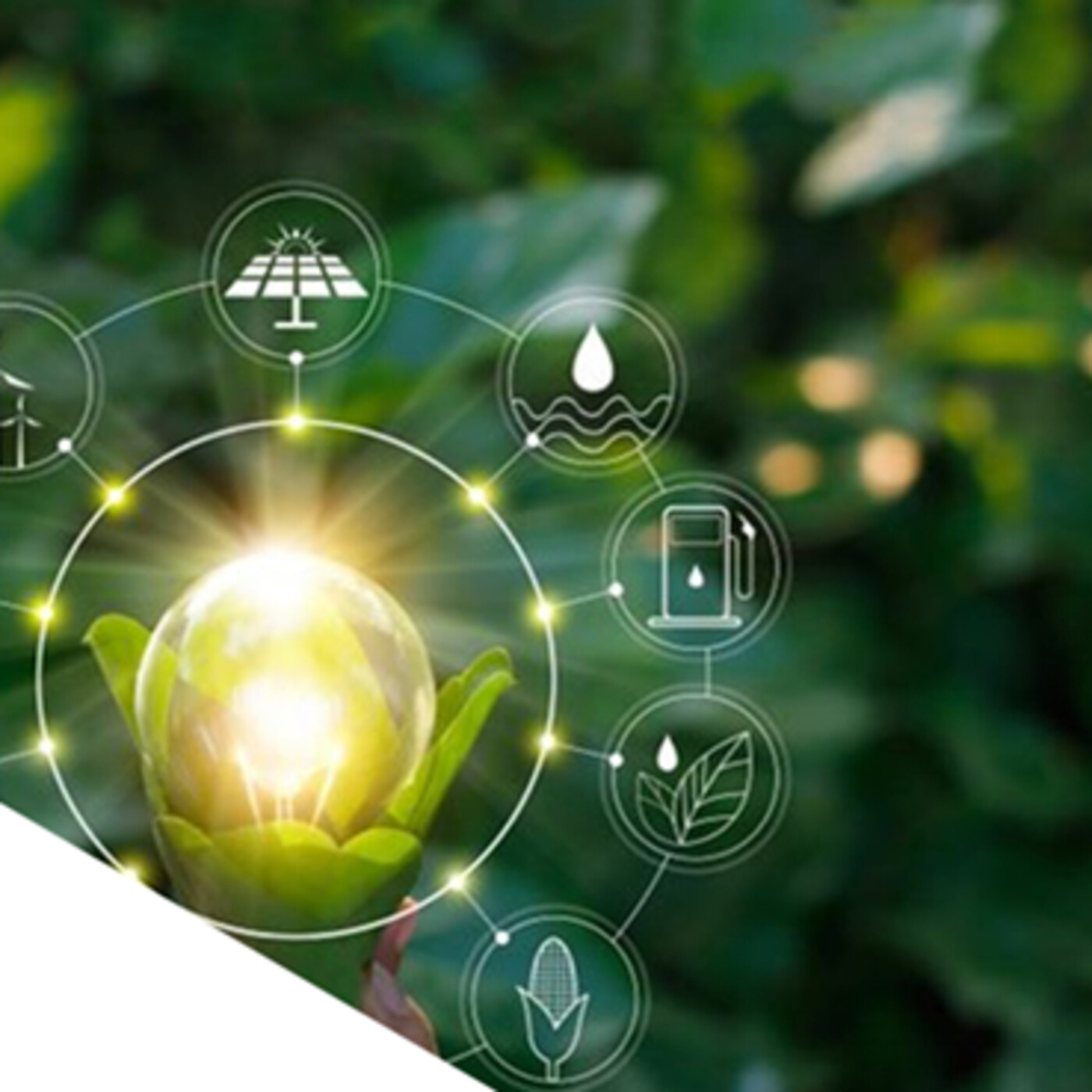 Capsulas de Seguridad de Univar Solutions Mexico
