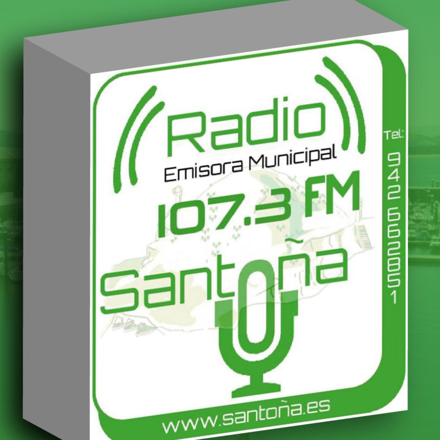 Pleno del Ayuntamiento de Santoña