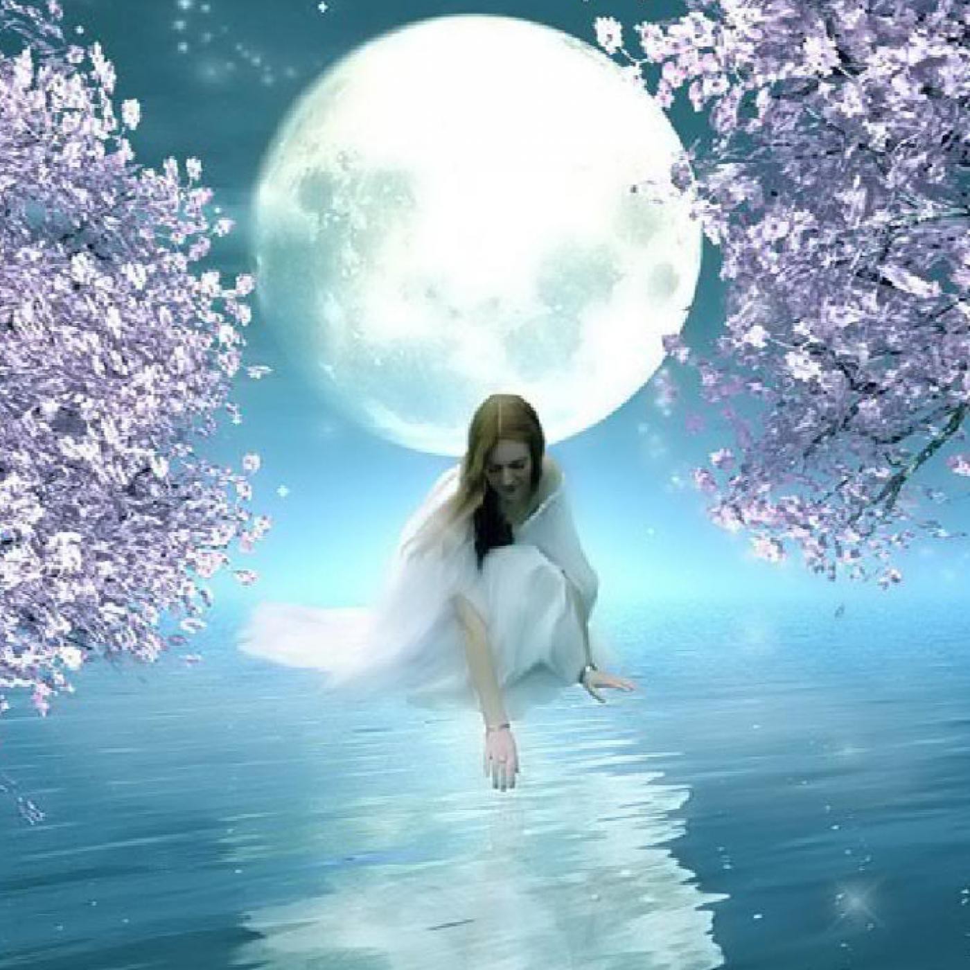 Sabiens. La Neo Divulgación.