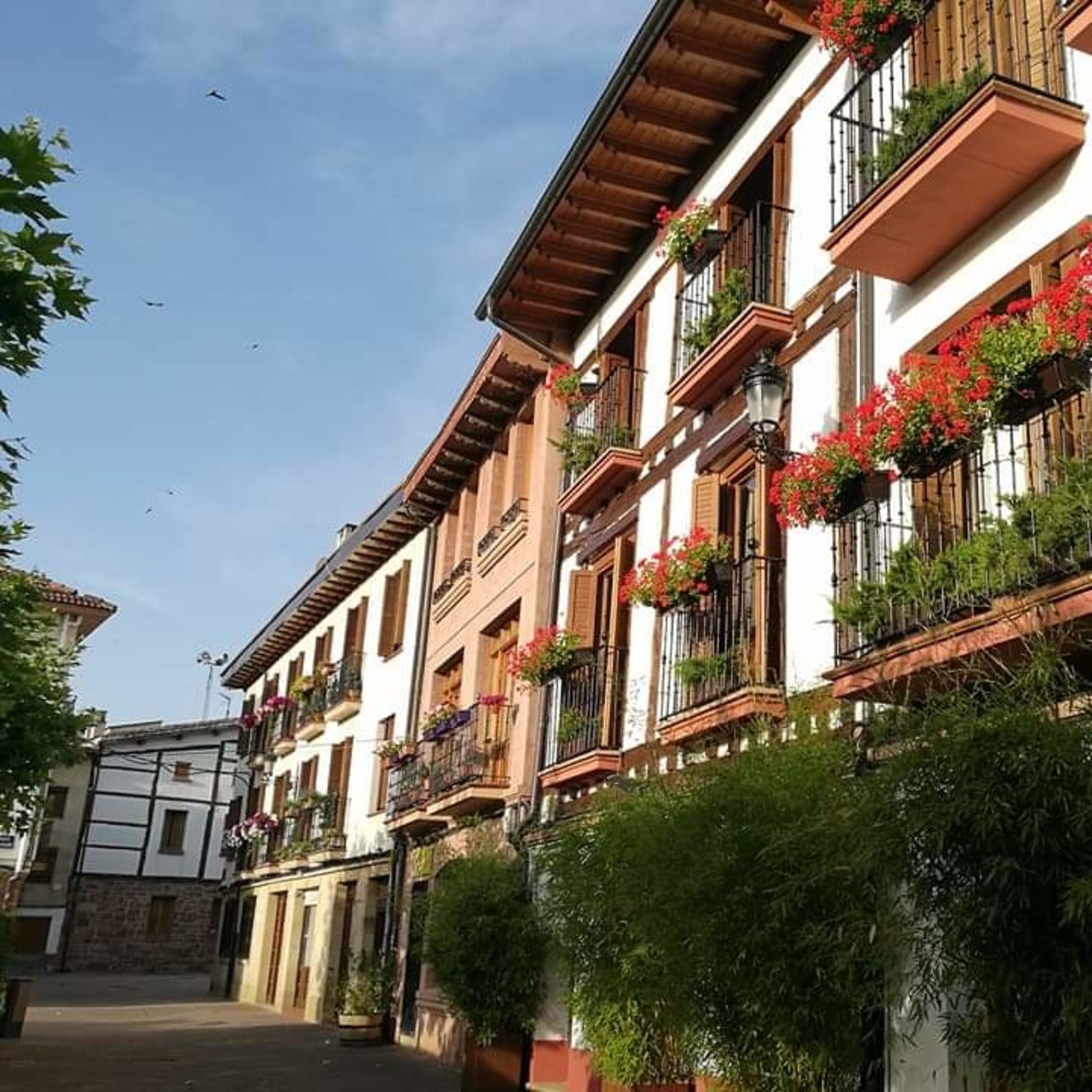 De Donosti al cielo - Ezcaray con Ricardo Aransay episode artwork