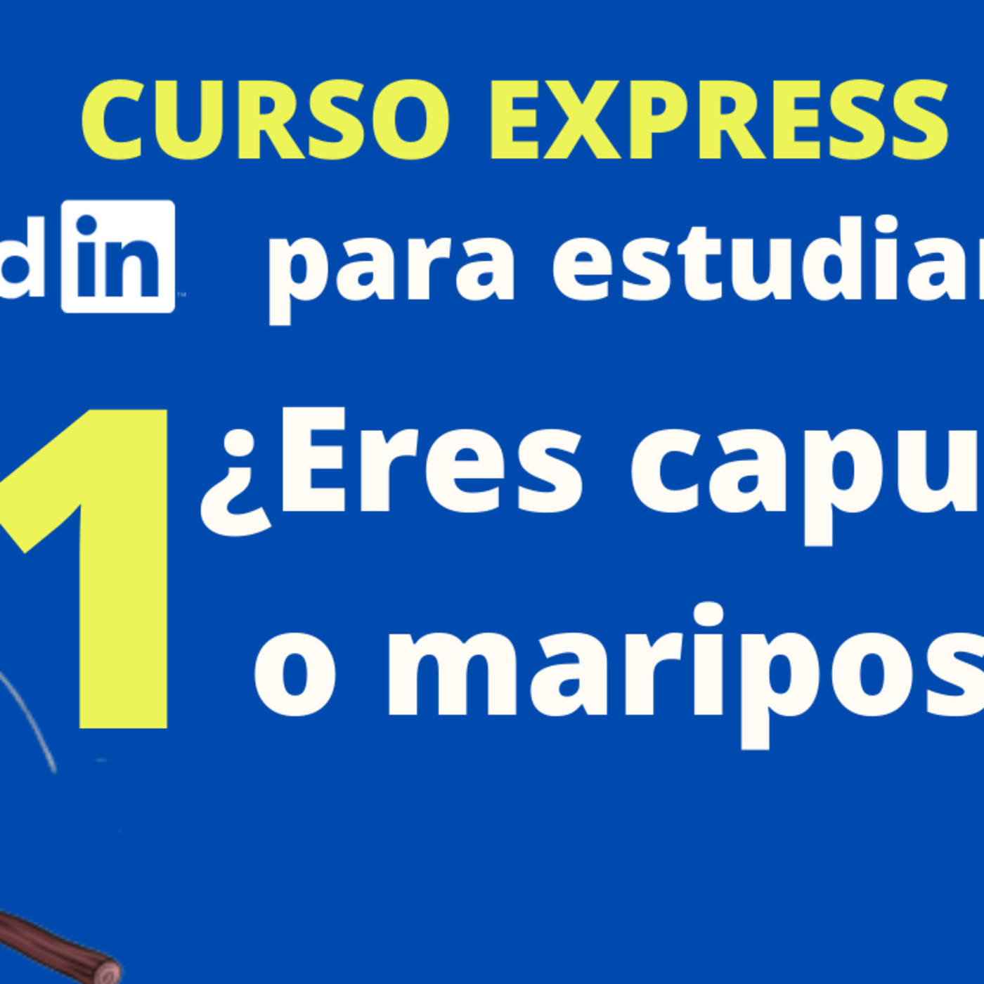LinkedIn Sencillo