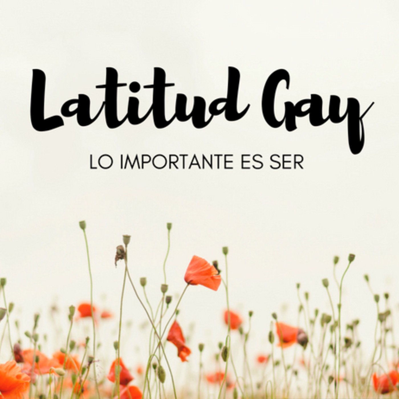 LATITUD GAY 2017/2018