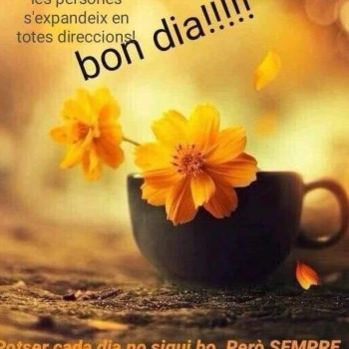 Moments per a tu