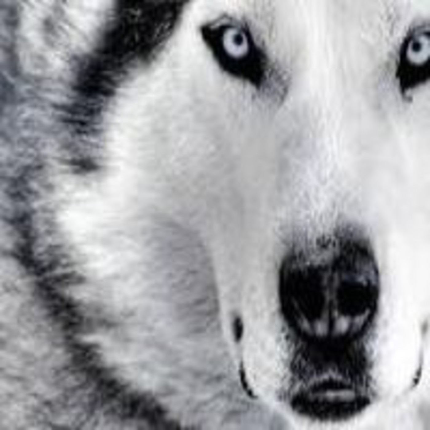 Podcast de Javier Alvarez