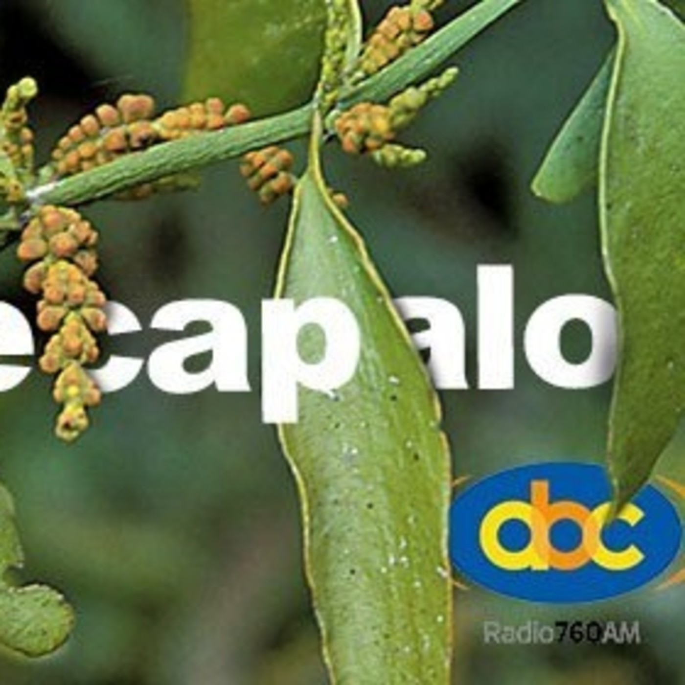 El Ángel de tu Salud - SECAPALO episode artwork