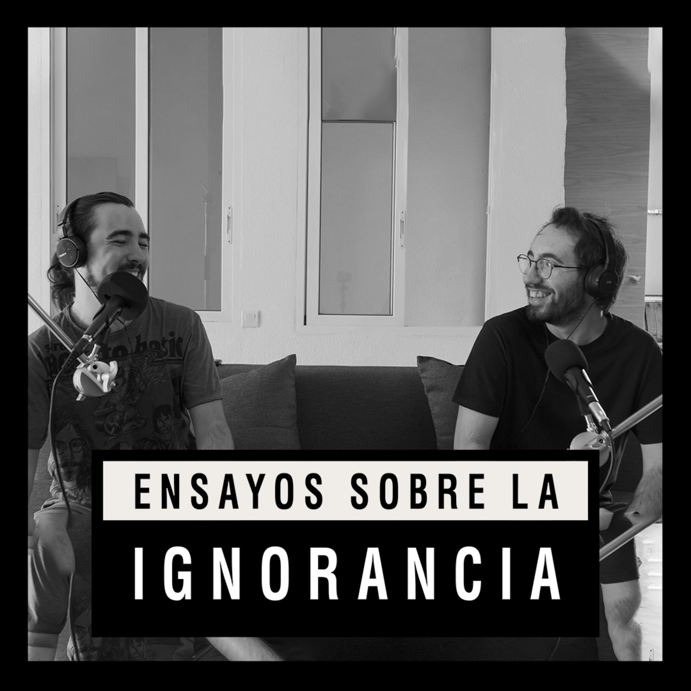 Ensayos sobre la ignorancia