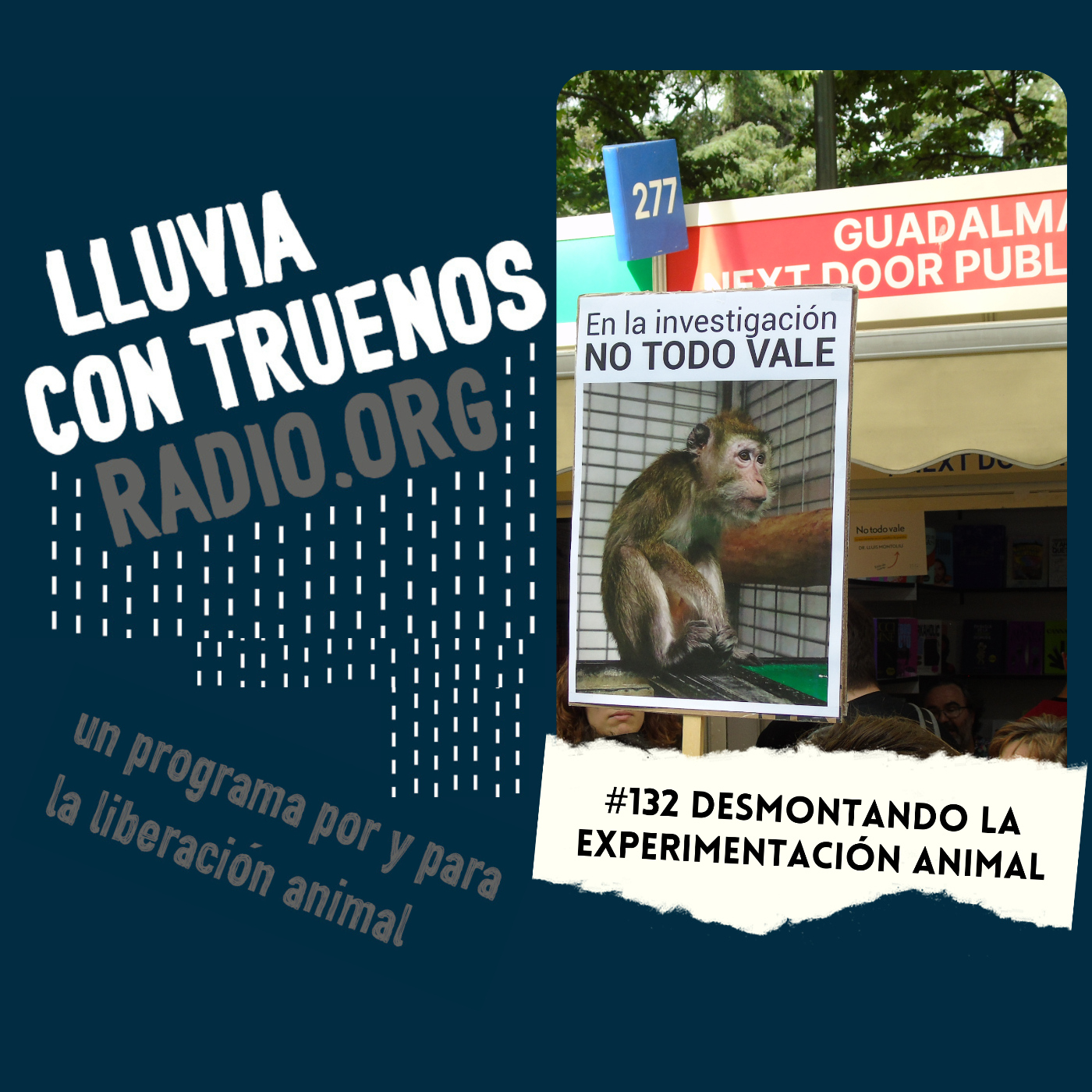 Lluvia con truenos radio